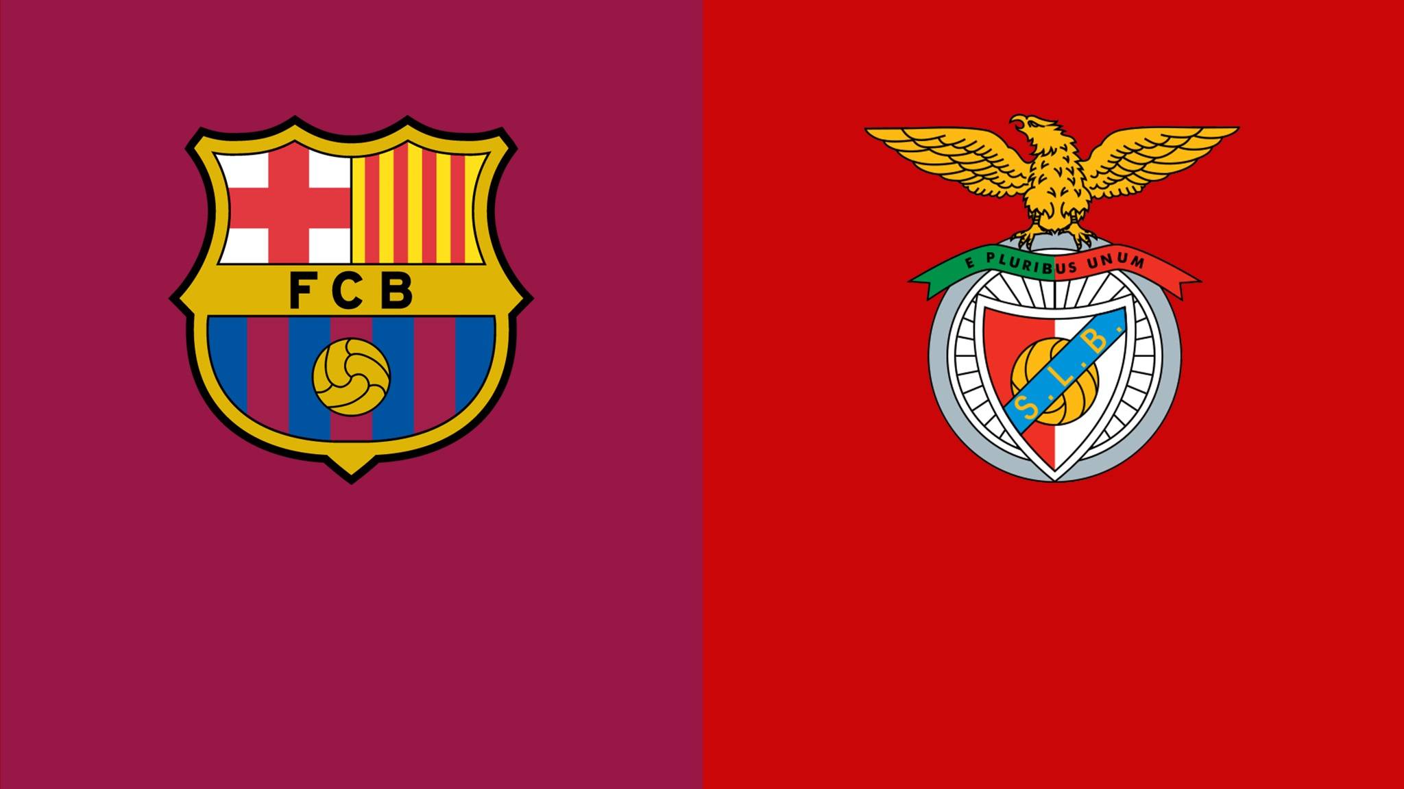 本菲卡训练开放日，赛前迎来里程碑引欢呼，欧篮联在即，阵容厚度经受考验(本菲卡最新消息最新)-爱游戏线上平台